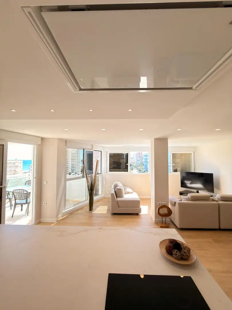 Living room of Flat for rent in Alicante / Alacant  with Air Conditioner, Private garden and Terrace