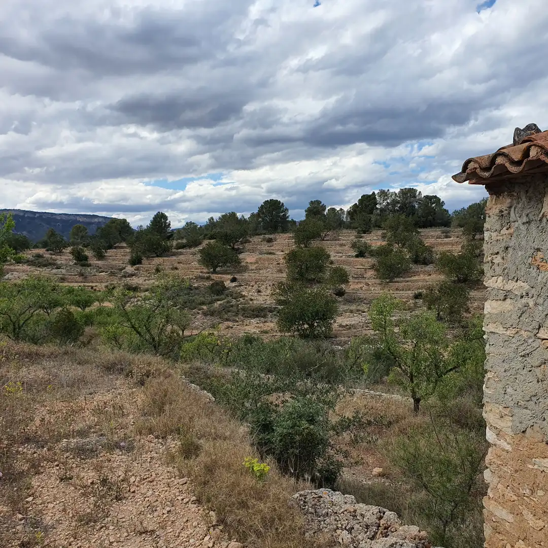 Rural land for sale in El Pinell de Brai, imagen 15