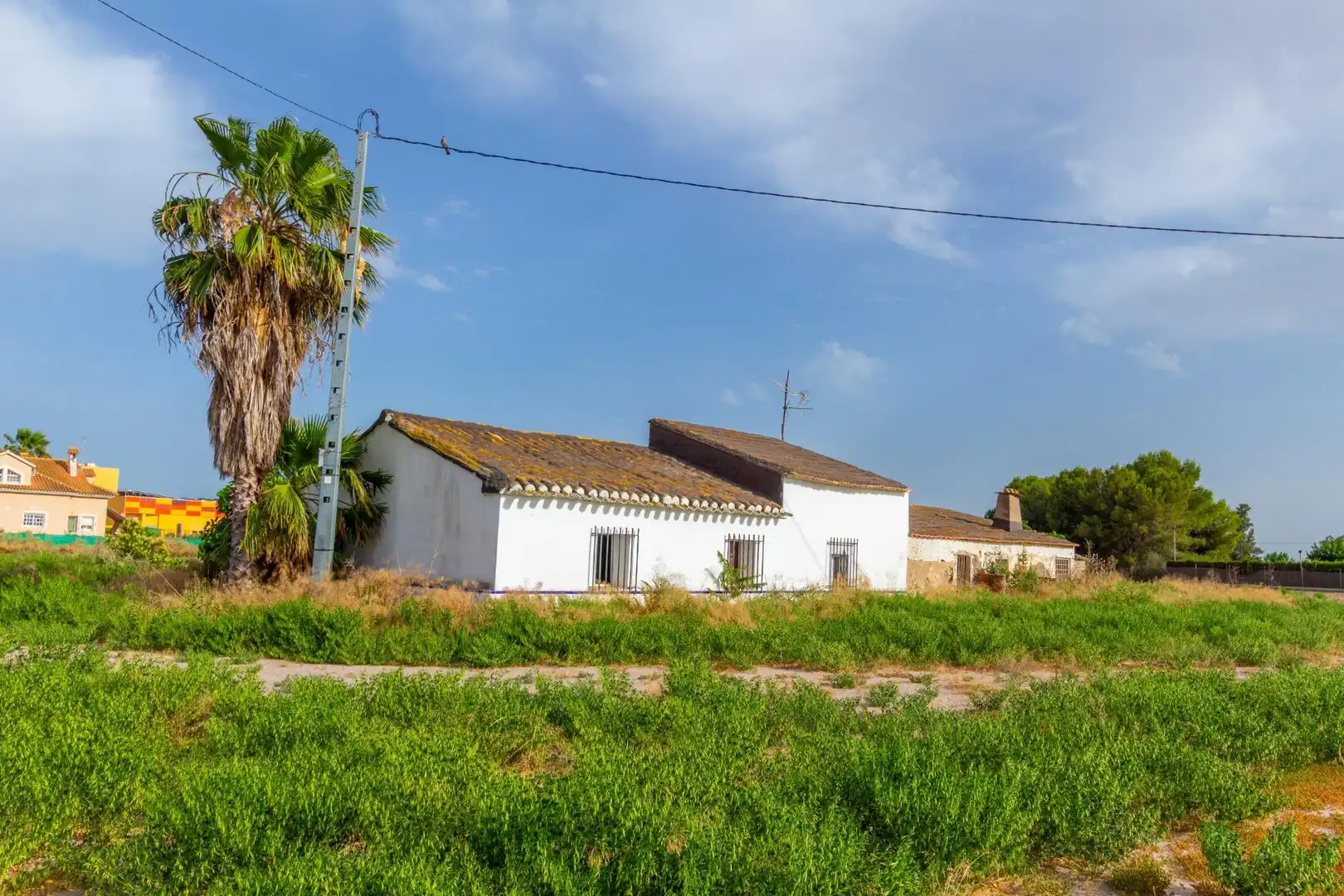Vista exterior de Residencial en venta en Lorca