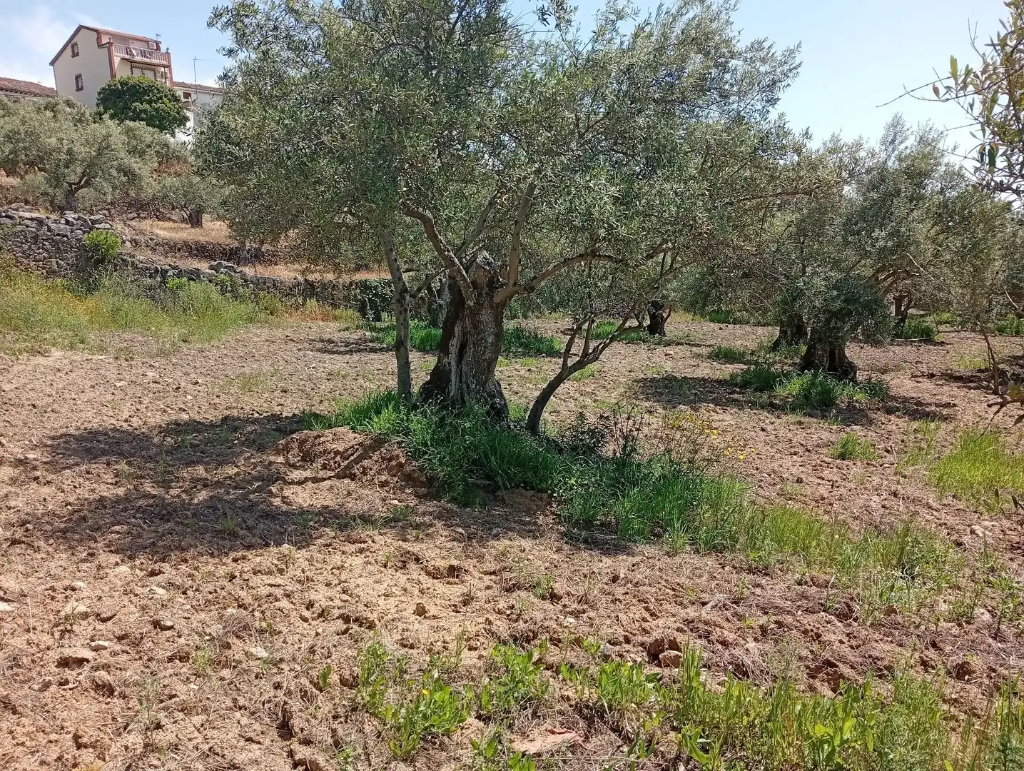 Terreni e lotti in vendita a Villanueva de la Vera, imagen 14