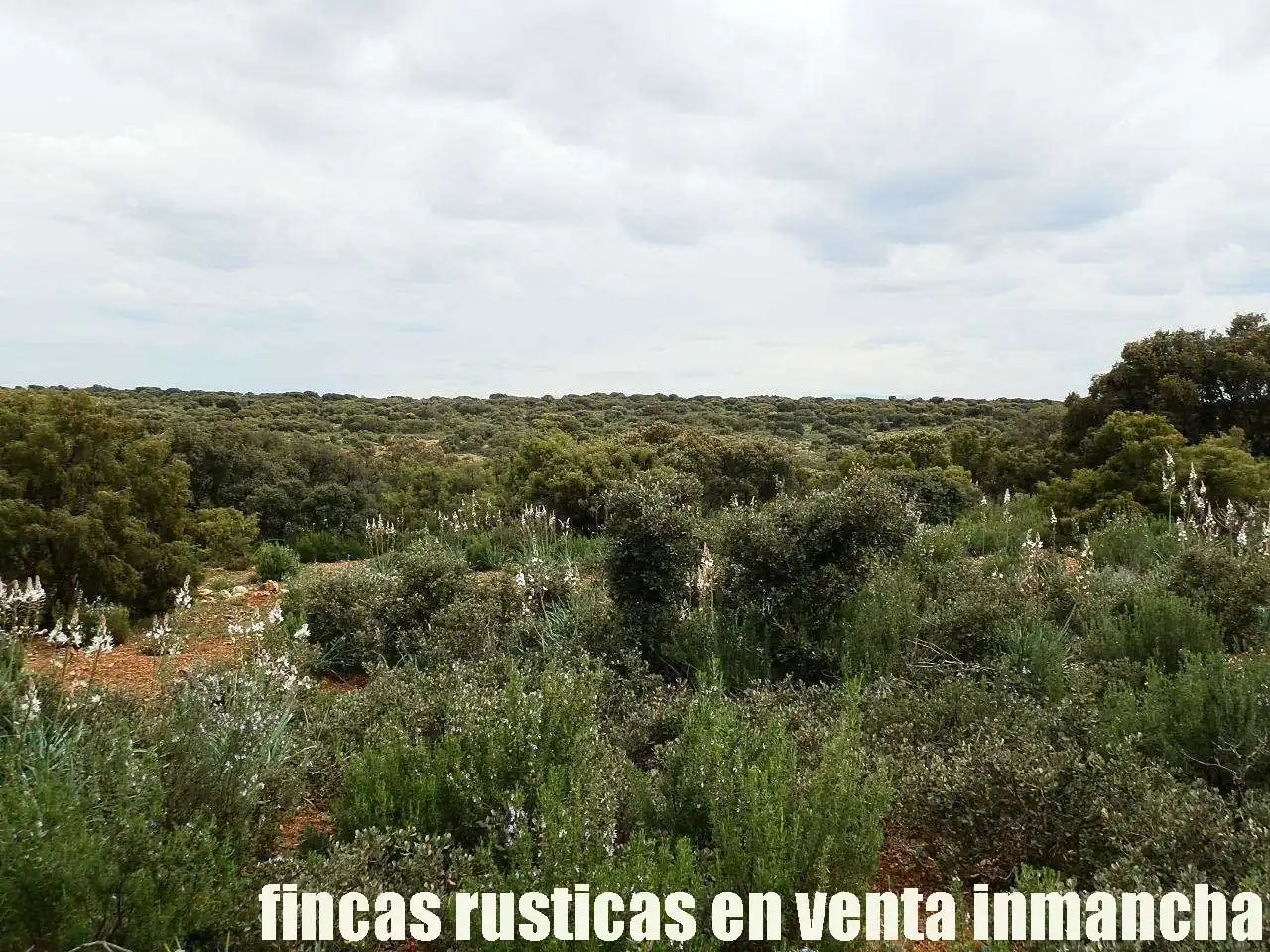 Terreno rustico in vendita a Ruidera, imagen 8
