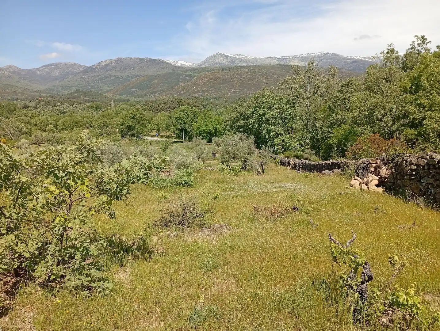 Terreni e lotti in vendita a Villanueva de la Vera, imagen 118