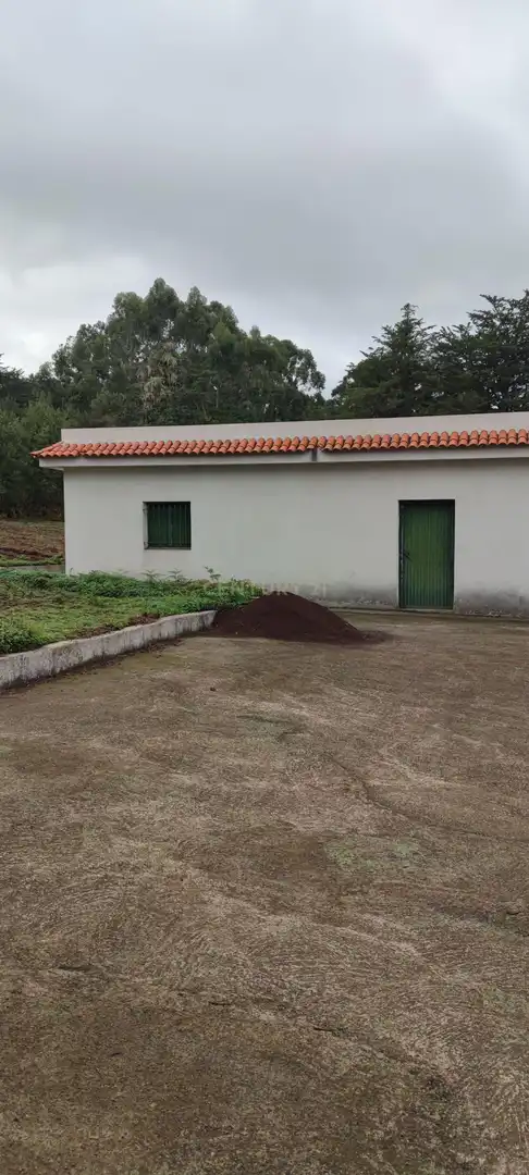 Terreny rústic en venda a Camino El Pozo, imagen 13
