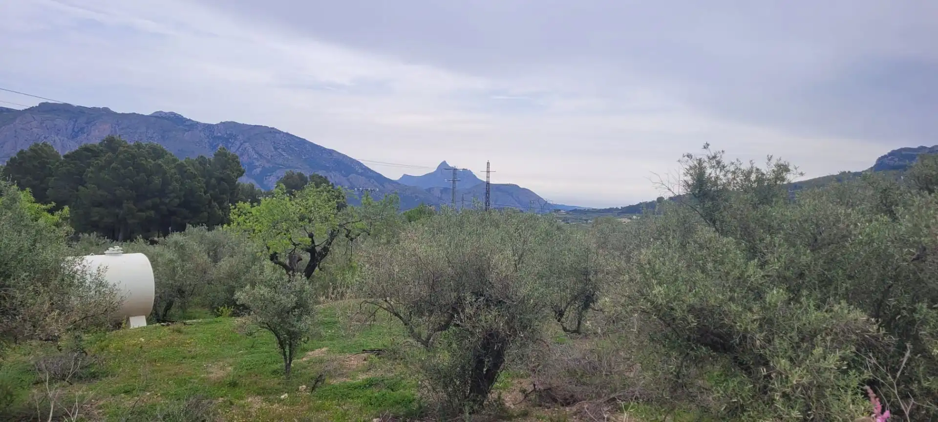 Terrenys i solars en venda a Benifato, imagen 13