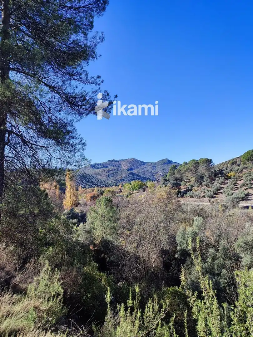 Residential for sale in Beas de Segura