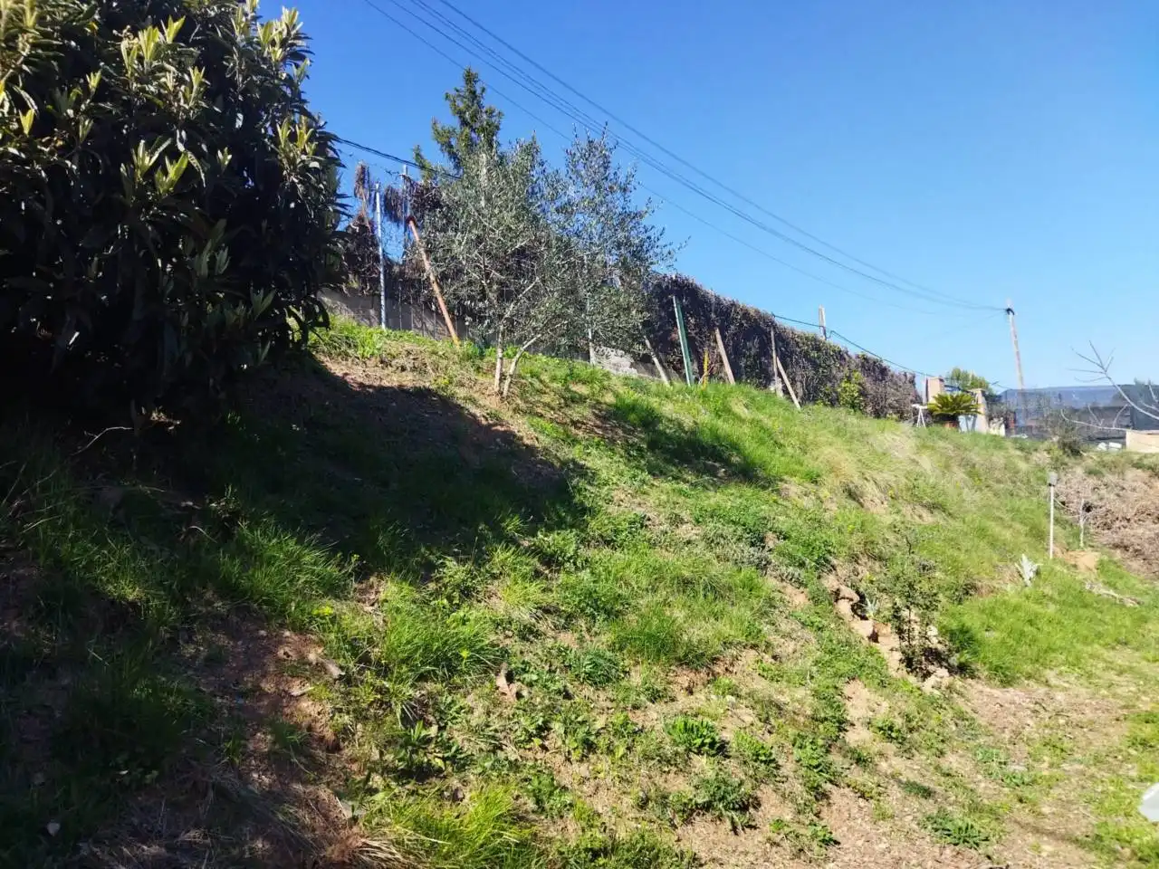 Land for sale in Sant Llorenç Savall