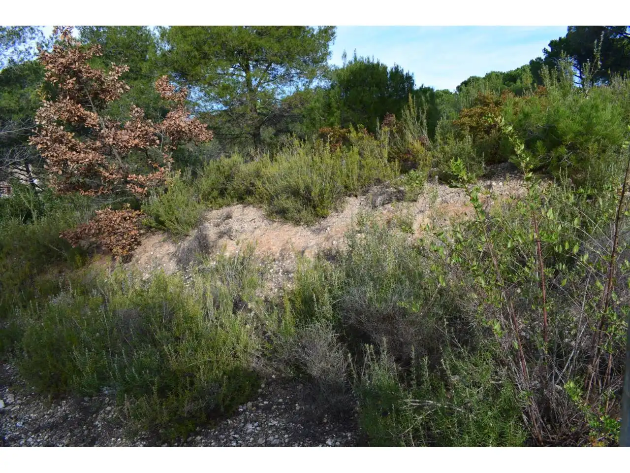 Terreny rústic en venda a Castellnou - Can Mir - Can Solà, imagen 2