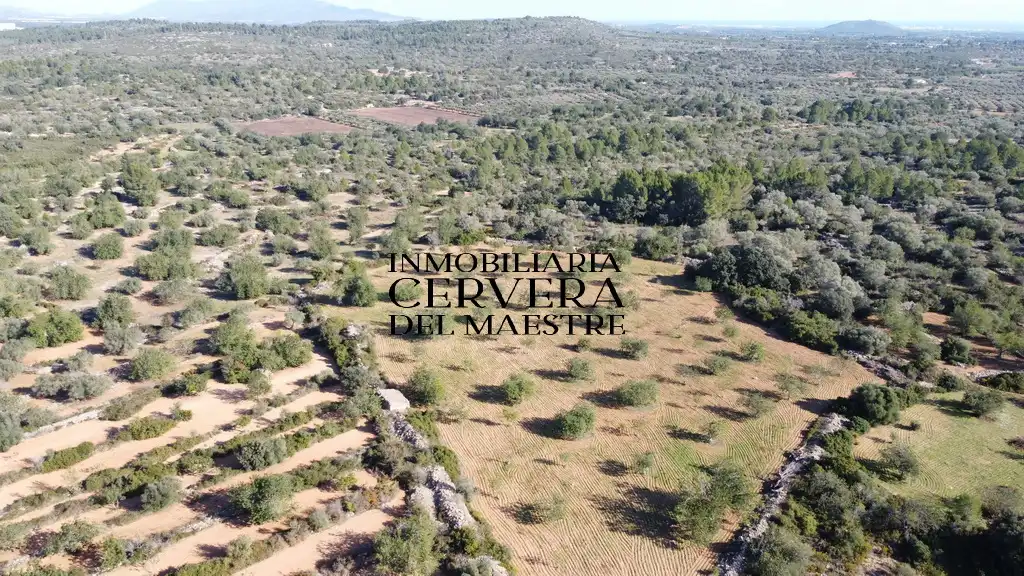 Terreno rustico in vendita a Cervera del Maestre, imagen 6