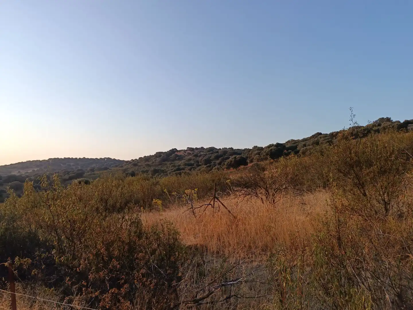Residencial en venda a Alía