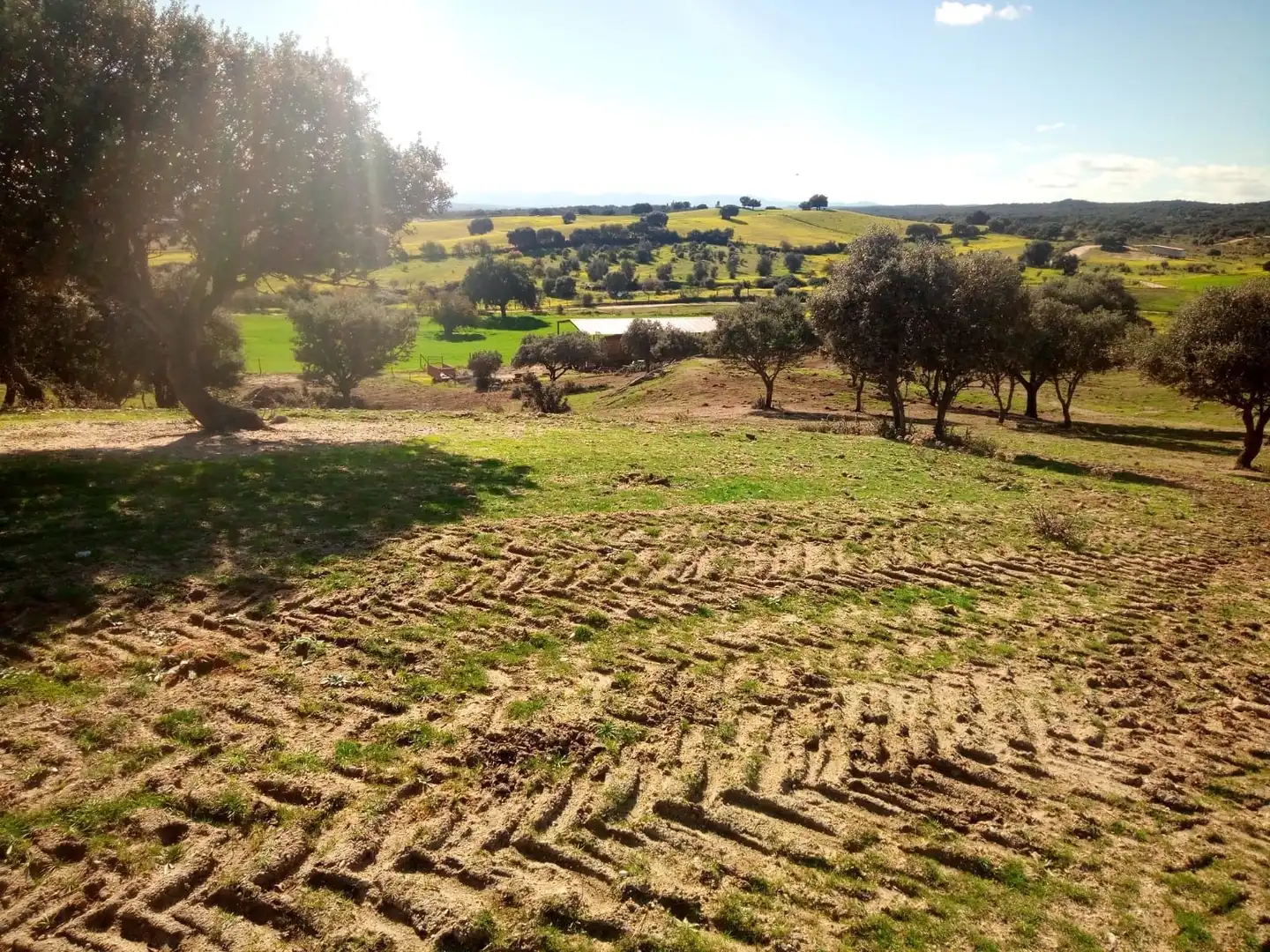 Terreni e lotti in vendita a Oropesa, imagen 21