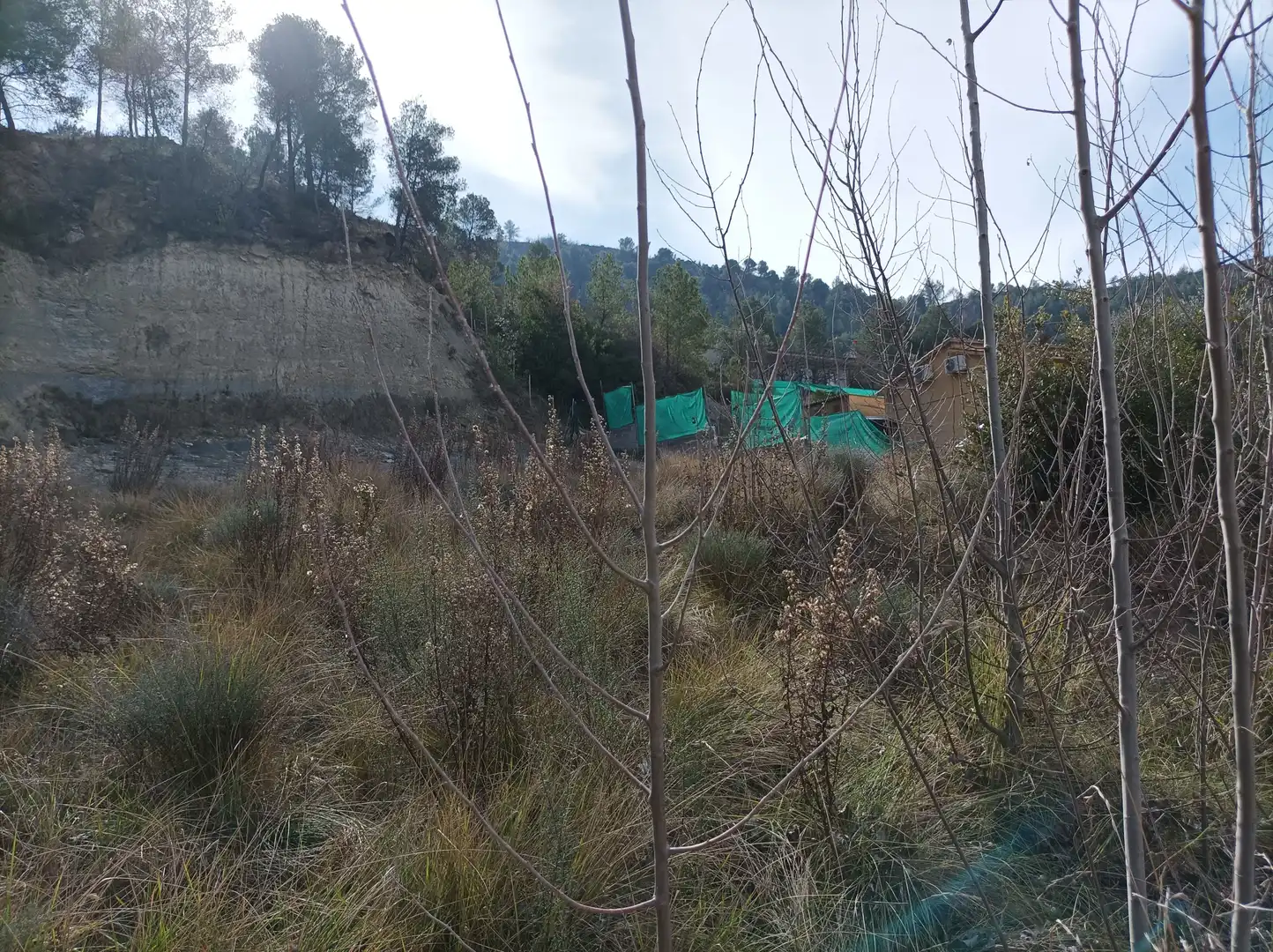 Residencial en venda a El Pont de Vilomara i Rocafort