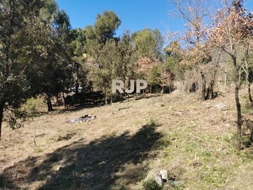 Terreni e lotti in vendita a Seva