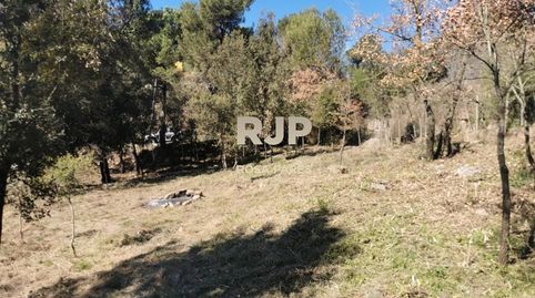 FANTASTICA PARCELA AL PINOS SEVA