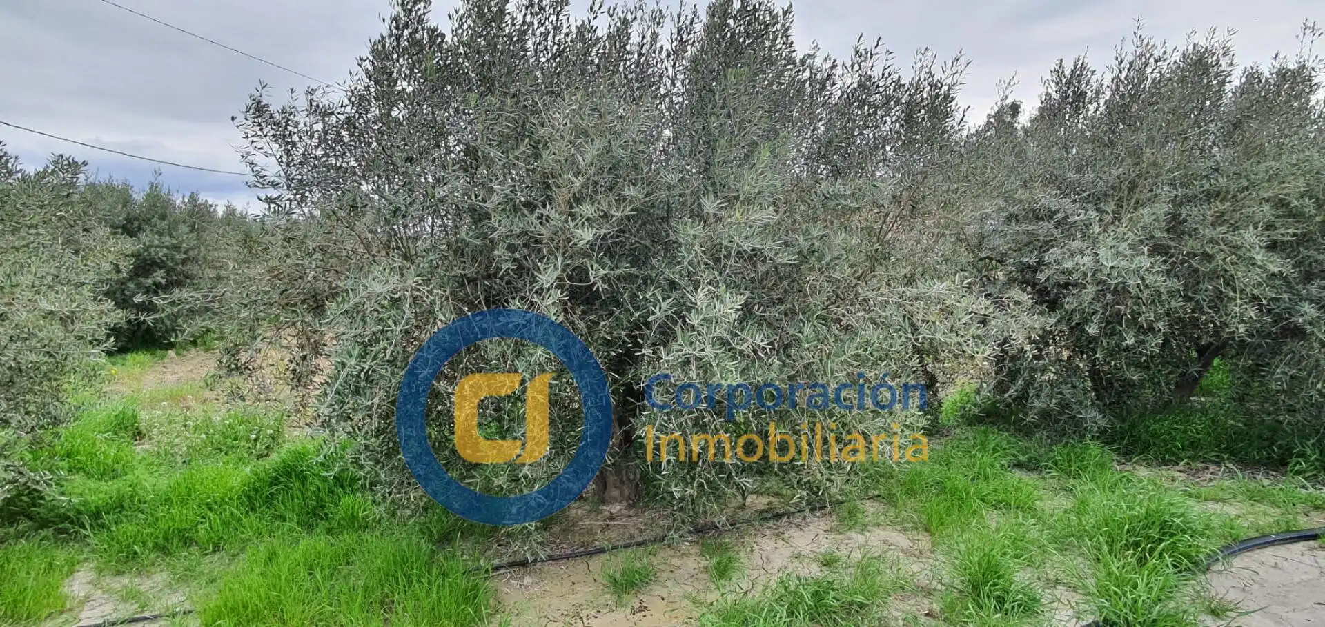 Casa o chalet en venta en Lorca con Amueblado