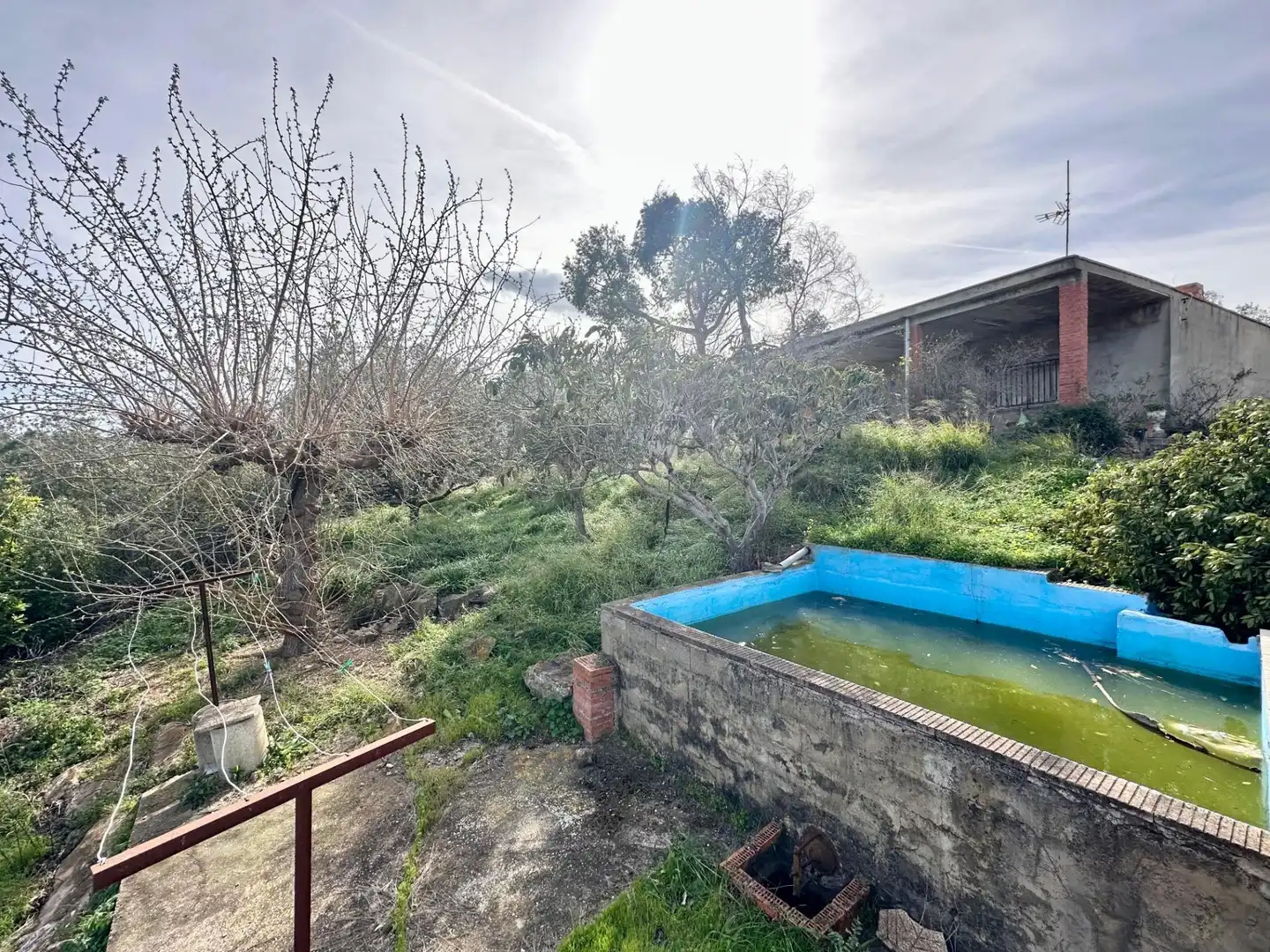 Piscina de Casa o chalet en venta en Carlet con Piscina