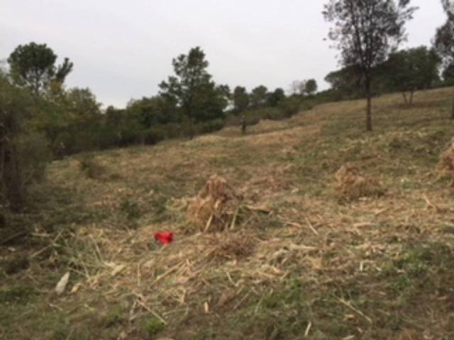 Terreno en Venta en Calle RIELLS I VIABREA en Riells i Viabrea