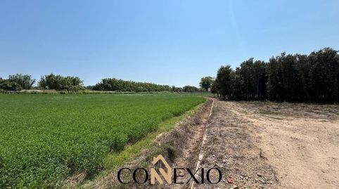 Foto 3 de Finca rústica en venda a Molí de Vent - La Sauleda, Palafrugell