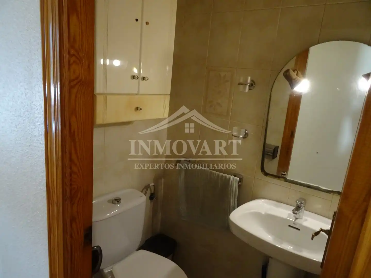 Baño de Ático en venta en Algemesí con Aire acondicionado, Terraza y Amueblado