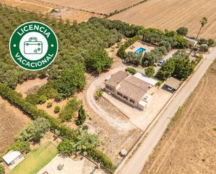 Vista exterior de Finca rústica de lloguer en Manacor amb Aire condicionat, Terrassa i Piscina