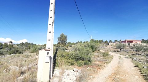 TERRENO RUSTICO SOTARRAÑA!!!!