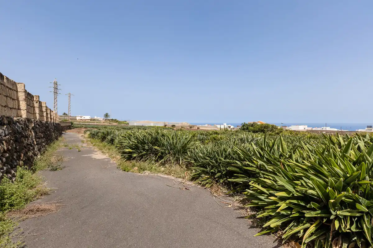 Exterior view of Country homes for sale in San Cristóbal de la Laguna  with Private garden, Terrace and Balcony