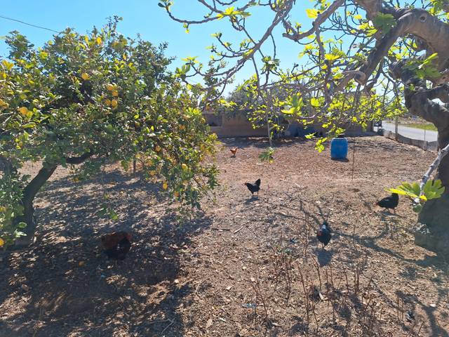 Casa-chalet en Venta en Cañada del Fenollar