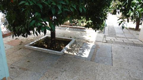 Photo 3 of House or chalet for sale in Alcolea del Río, Sevilla