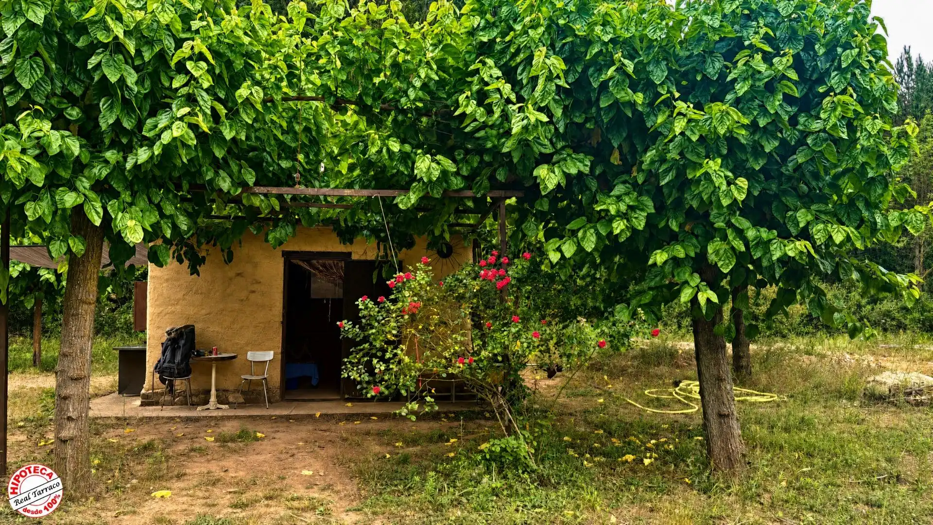 Terreno rústico en venta en Mont-ral, imagen 3