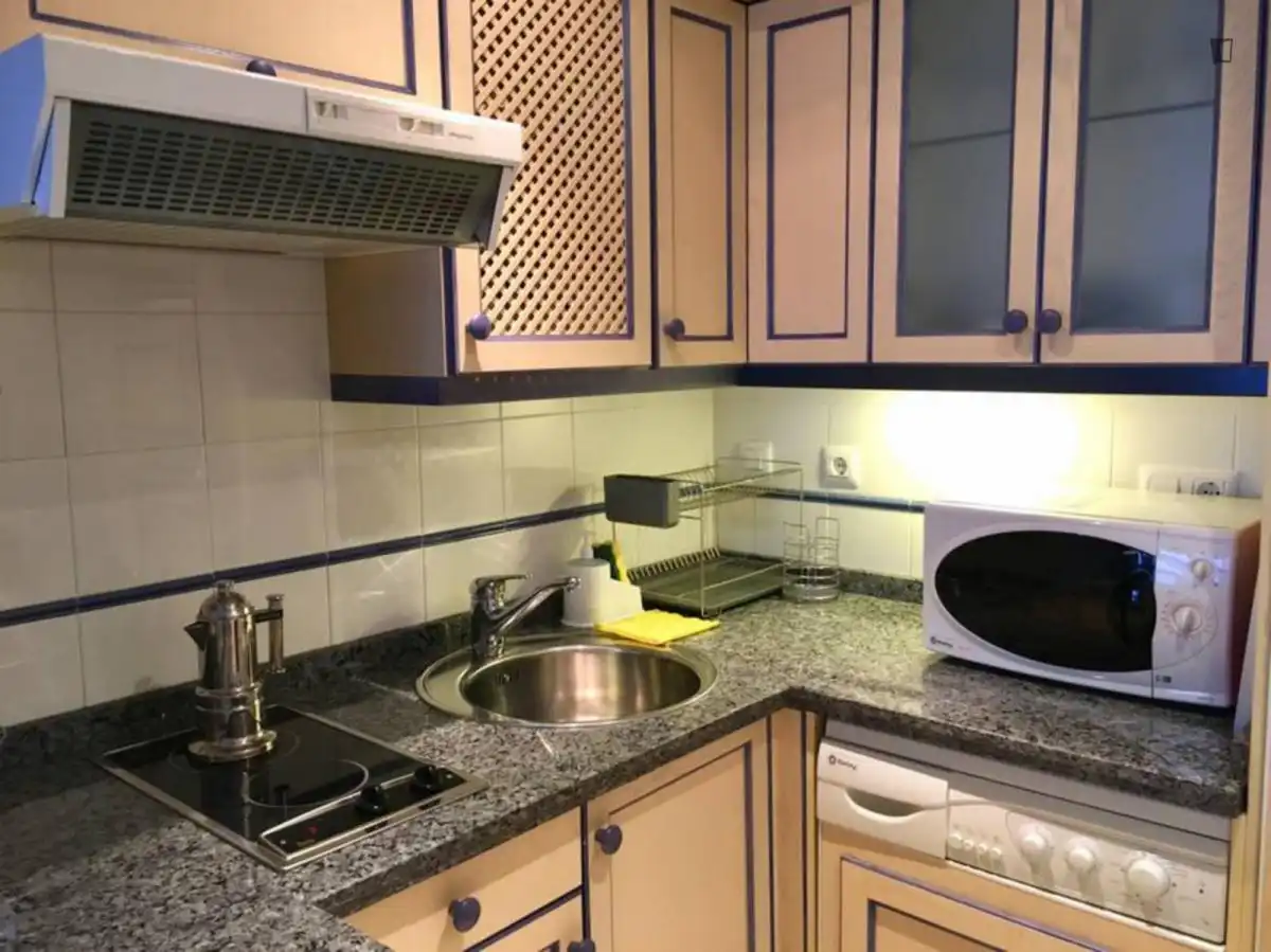Apartament amb ascensor de lloguer a Casco Antiguo, imagen 5