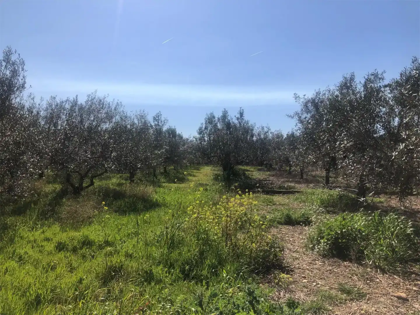 Finca rústica en venda en Olite / Erriberri