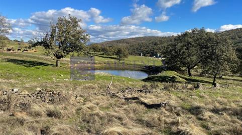 Foto 5 de Casa o chalet en venta en Diseminados Carrascal, Trujillo, Cáceres