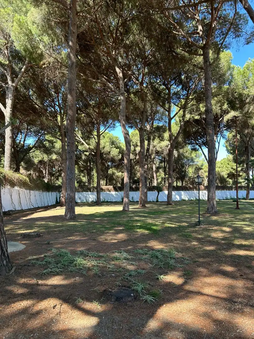 Casa rústica en venda a Arcos de la Frontera, imagen 8