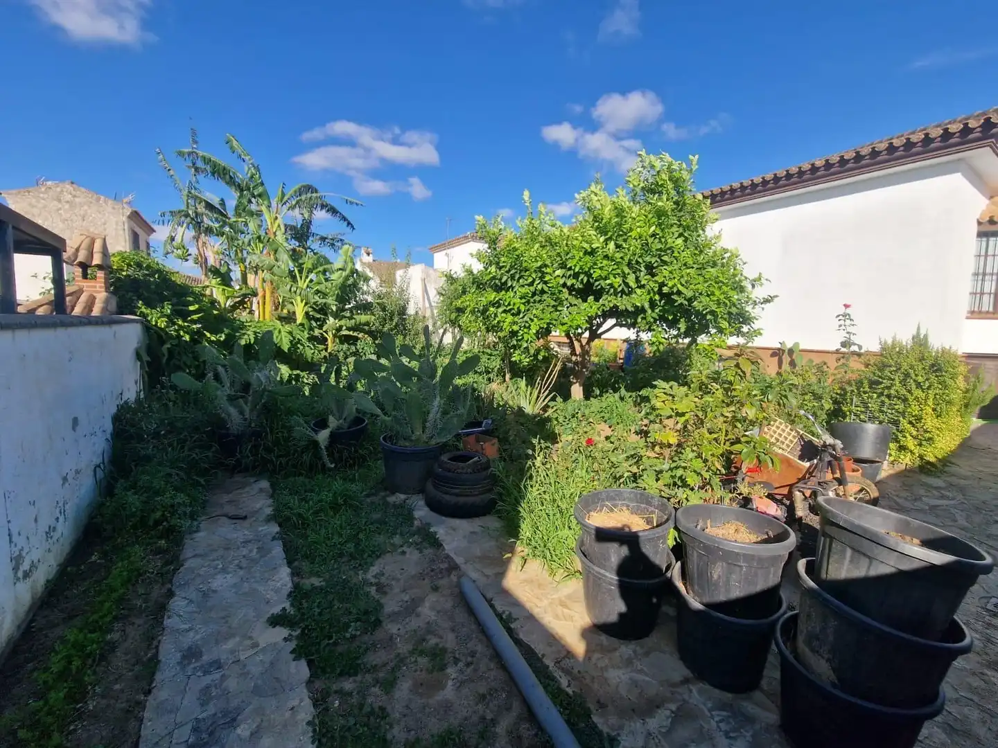 Chalet en venta en Medina Sidonia, imagen 17