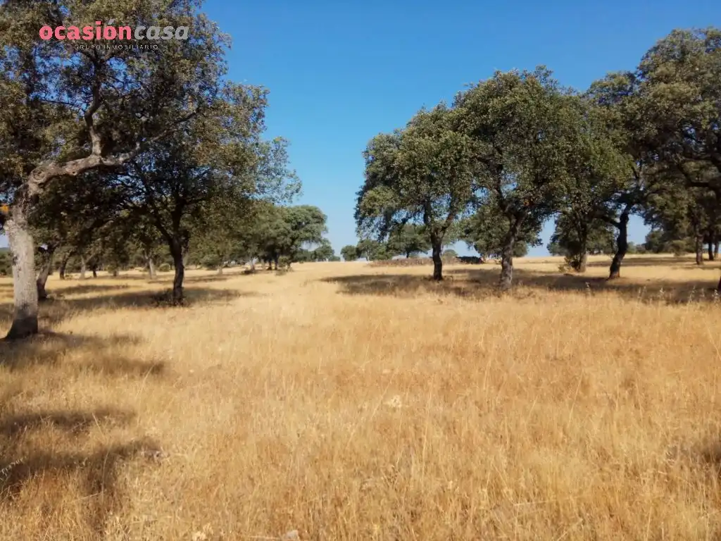 Country homes for sale in Torrecampo