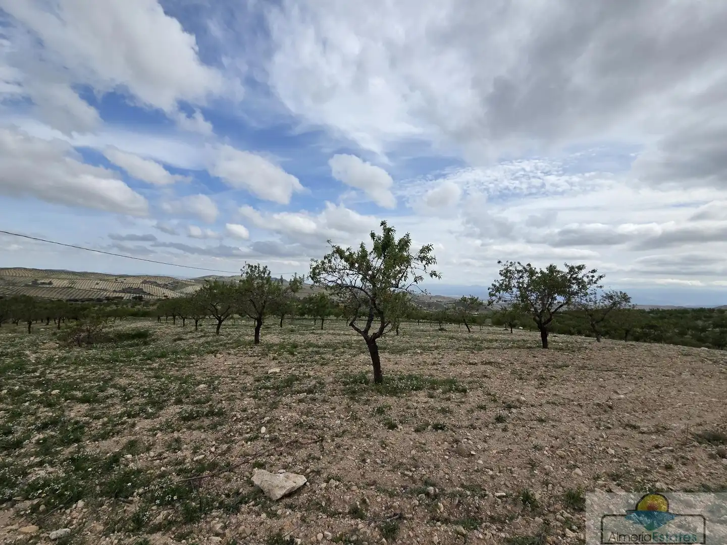 Terrenys i solars en venda a Albox, imagen 2