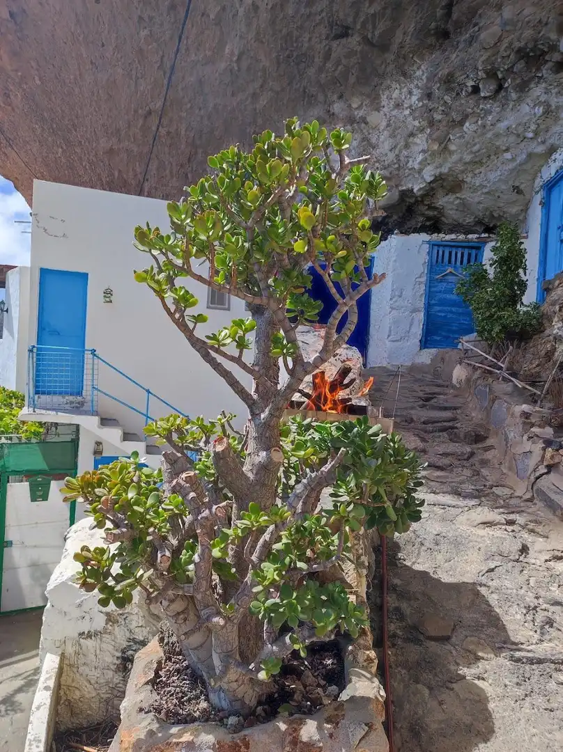 Finca rústica en venta en Tejeda con Balcón