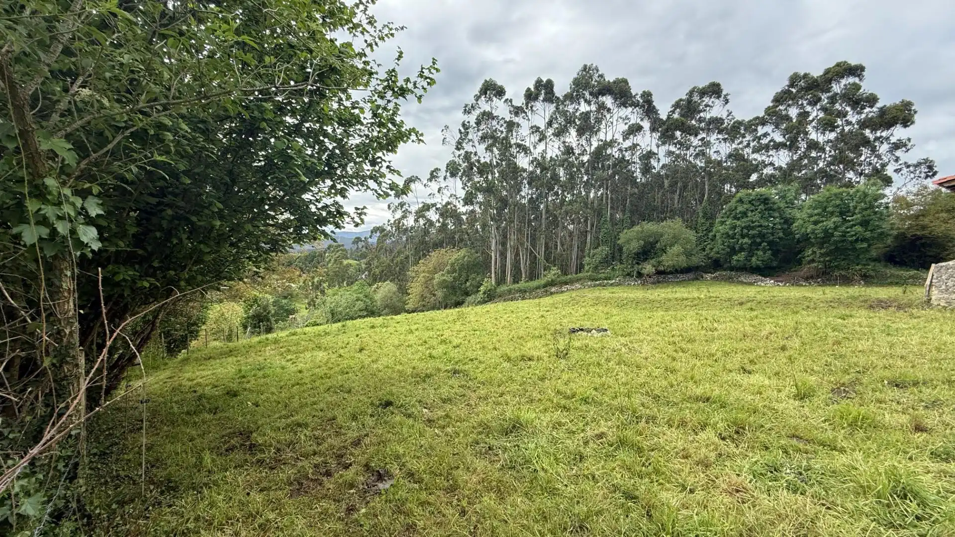 Terreno en venta en Valdáliga