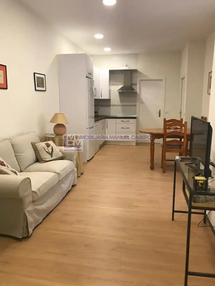 Sala de estar de Apartamento de alquiler en Cáceres con Aire acondicionado, Calefacción y Amueblado
