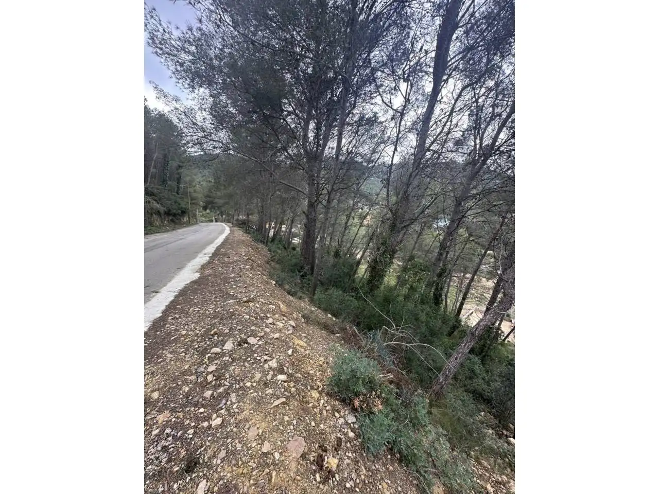 Terreny rústic en venda a Calle Tafalla 18, imagen 5