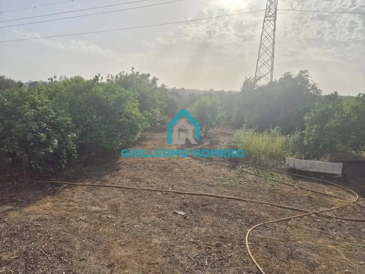 Casa rústica en venda a La Puebla del Río, imagen 9