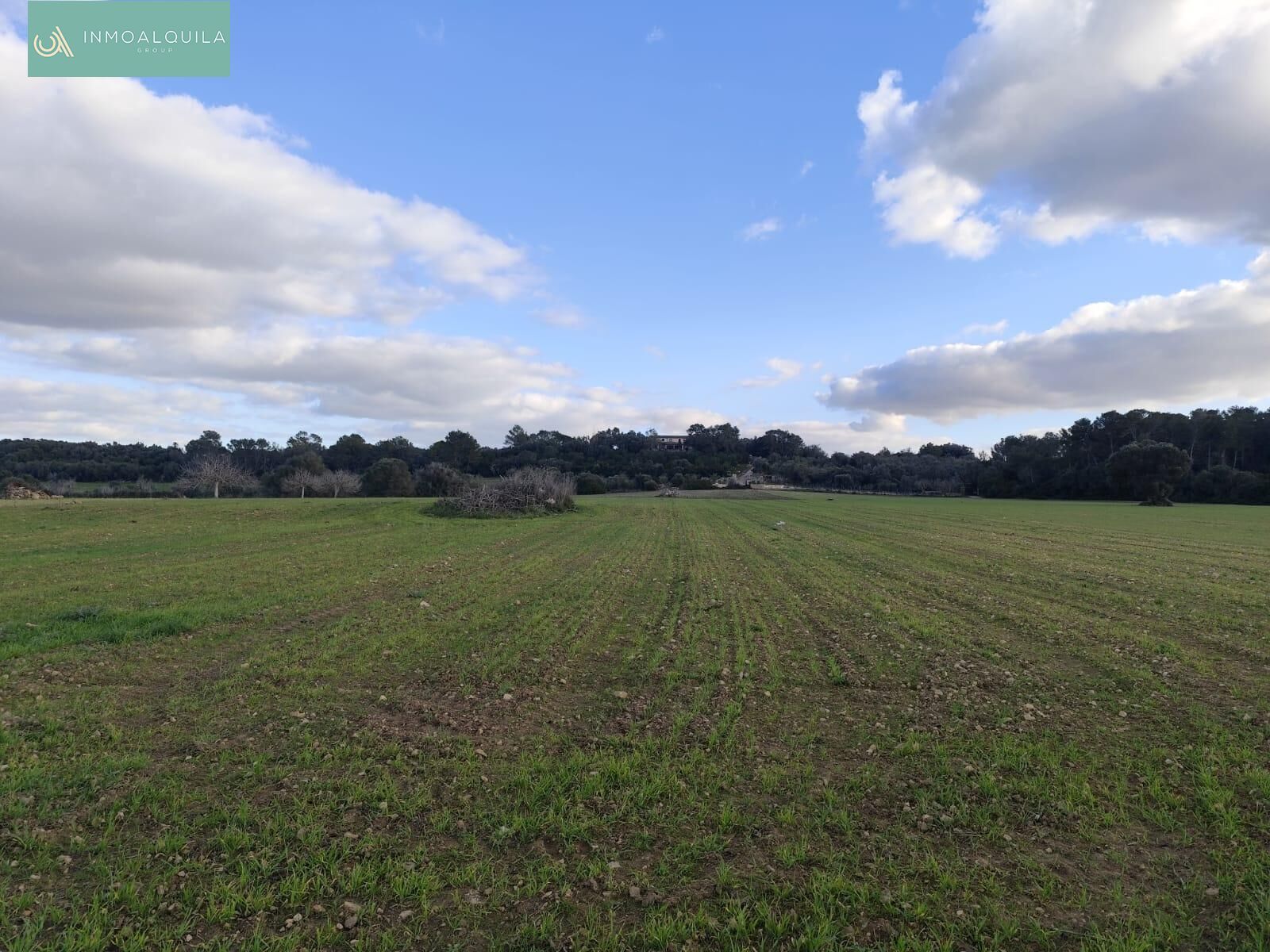 Residential for sale in Sineu