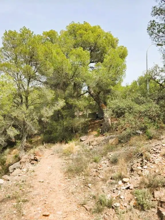 Wohnbaugrundstück zum Verkauf in Carrer Canteres 18, imagen 10