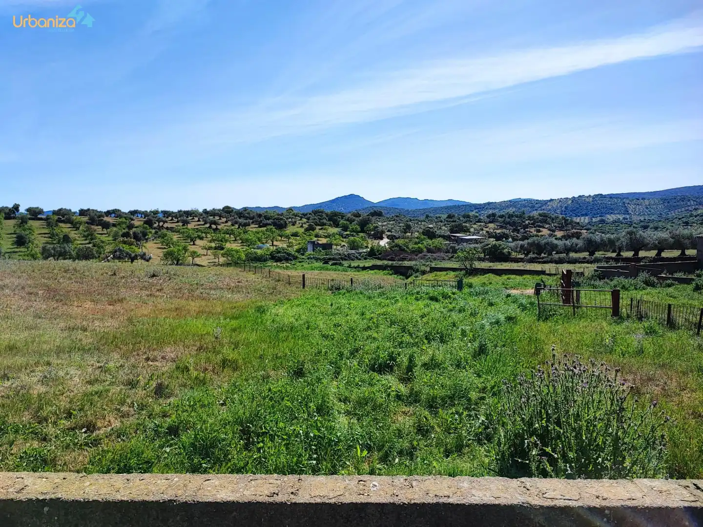 Land for sale in Salvaleón