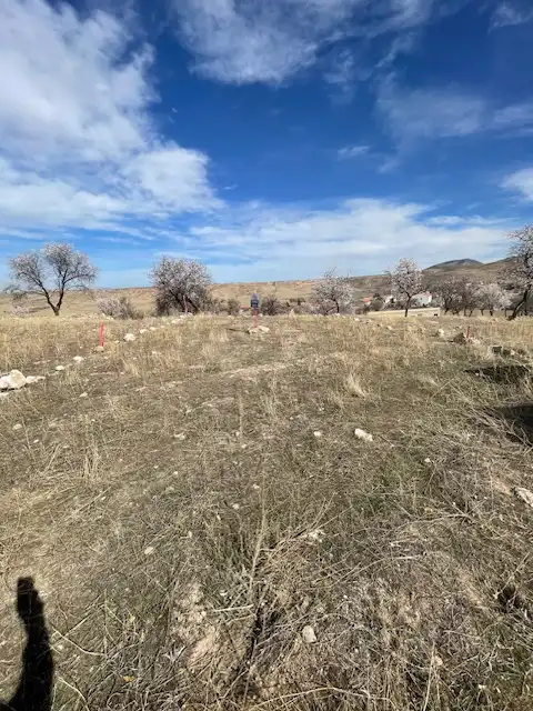 Terreno rustico in vendita a Calle Jardines 24, imagen 4