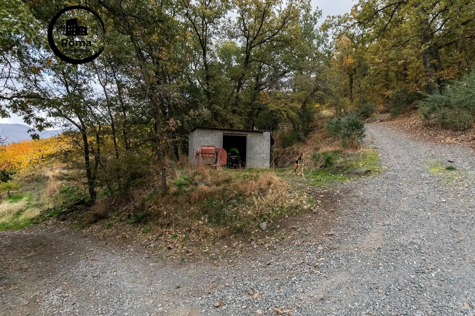 Rural land for sale in Güéjar Sierra, imagen 4