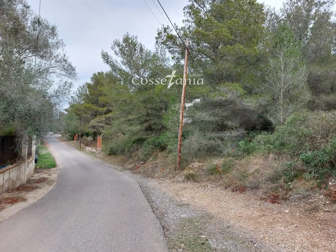 Rural land for sale in avet de l'  en  la masieta, imagen 6