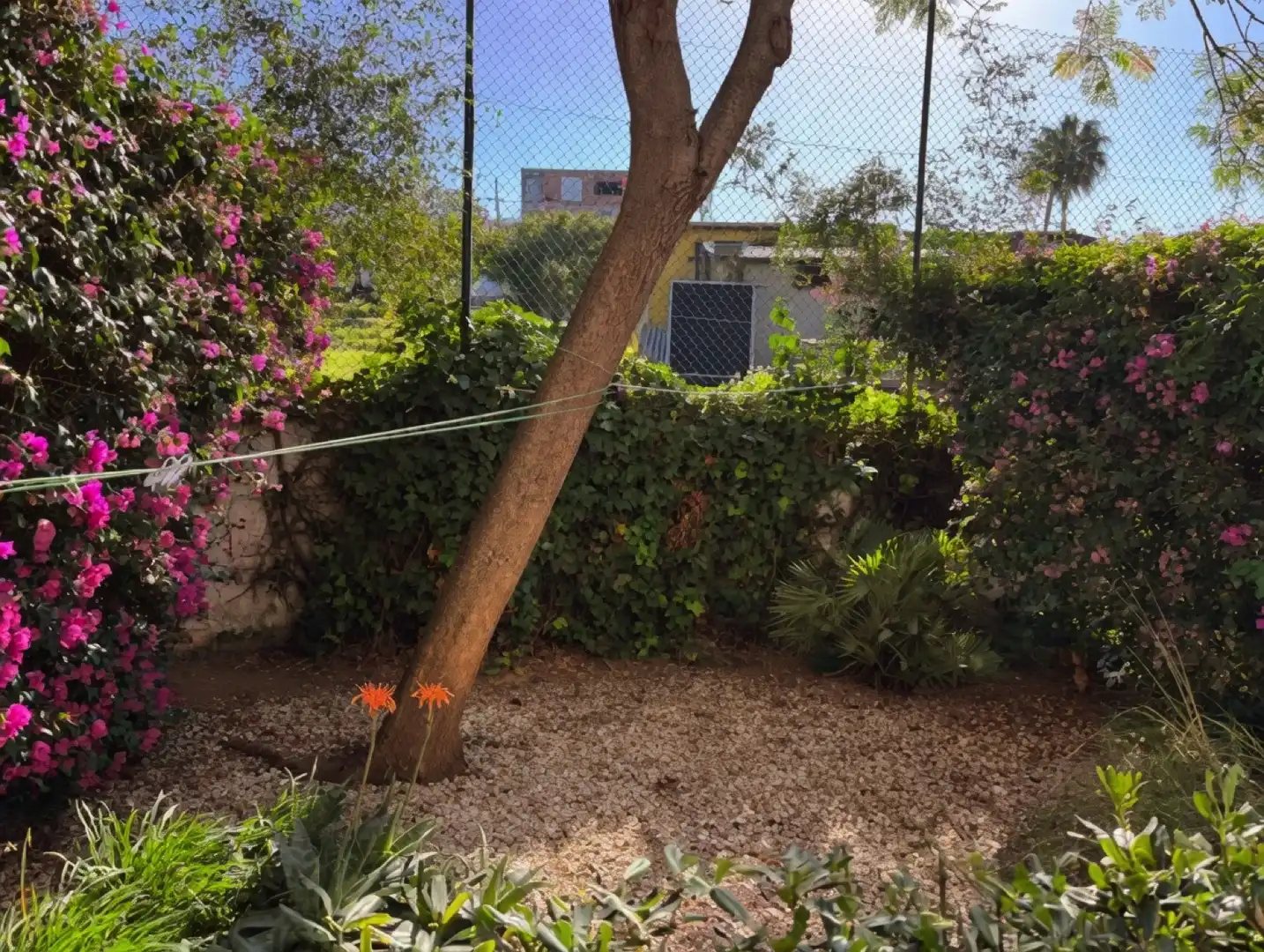 Casa pareada con piscina en venta en San Enrique - Guadiaro -  Pueblo Nuevo, imagen 21