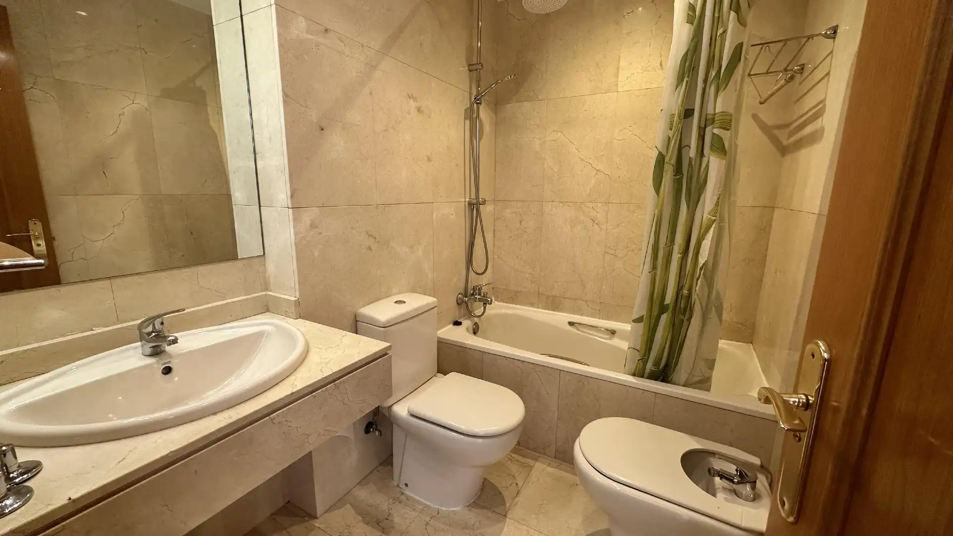 Detached homes for rent in Centro