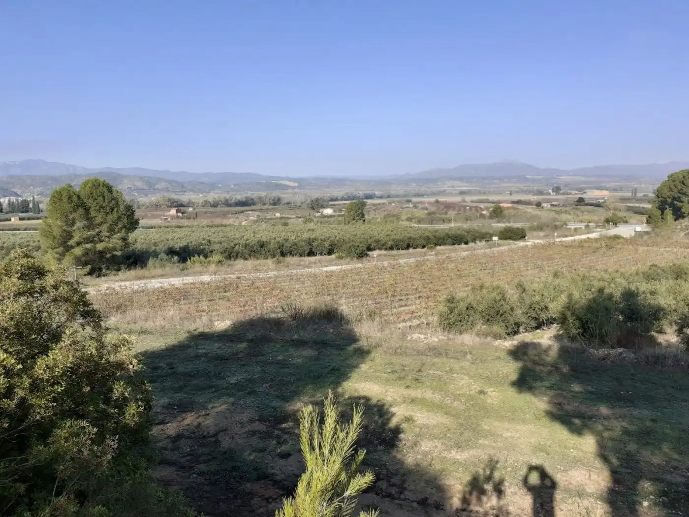 Finca rústica en venda en Ginestar