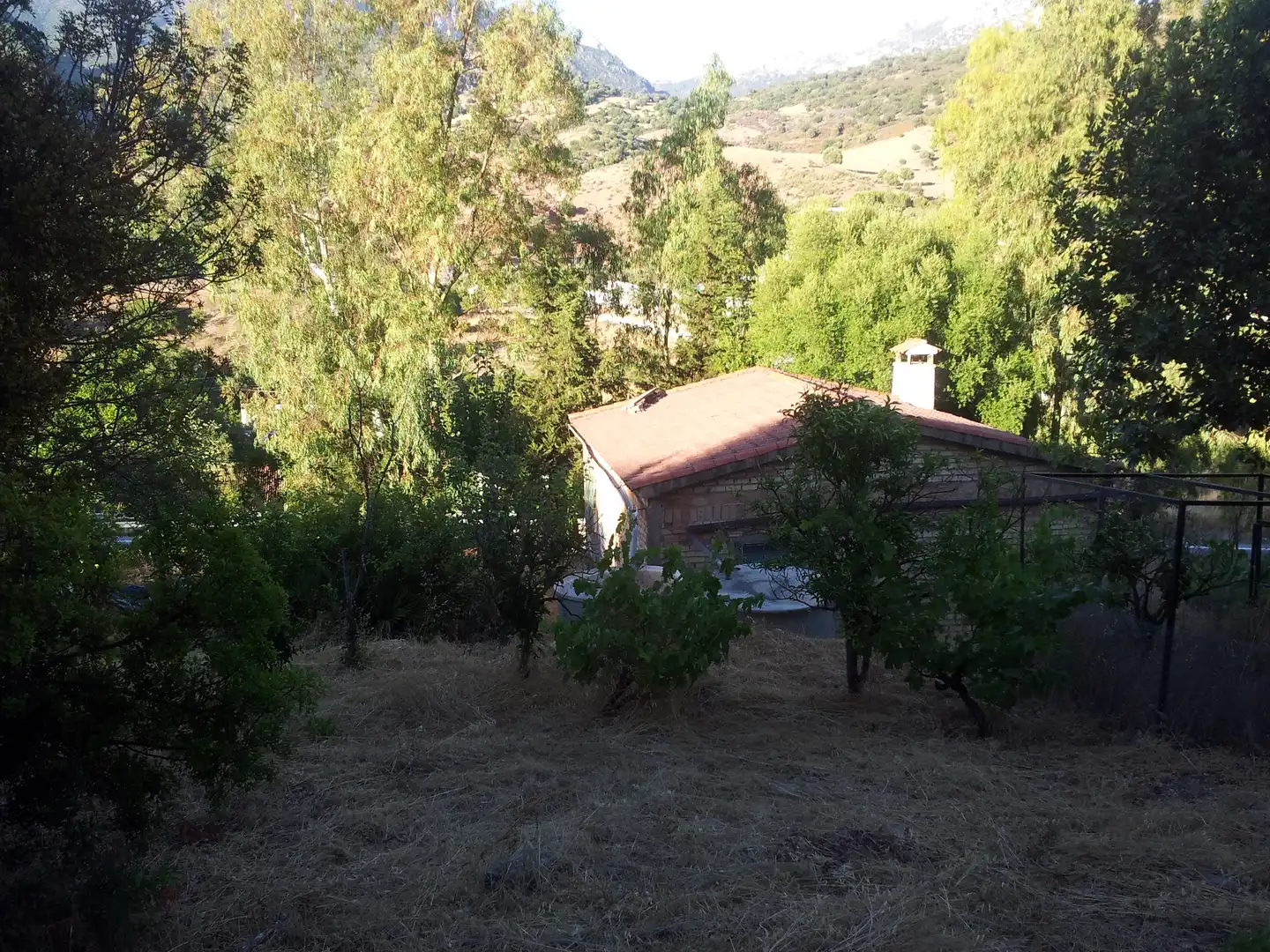 Vista exterior de Finca rústica en venta en Ubrique